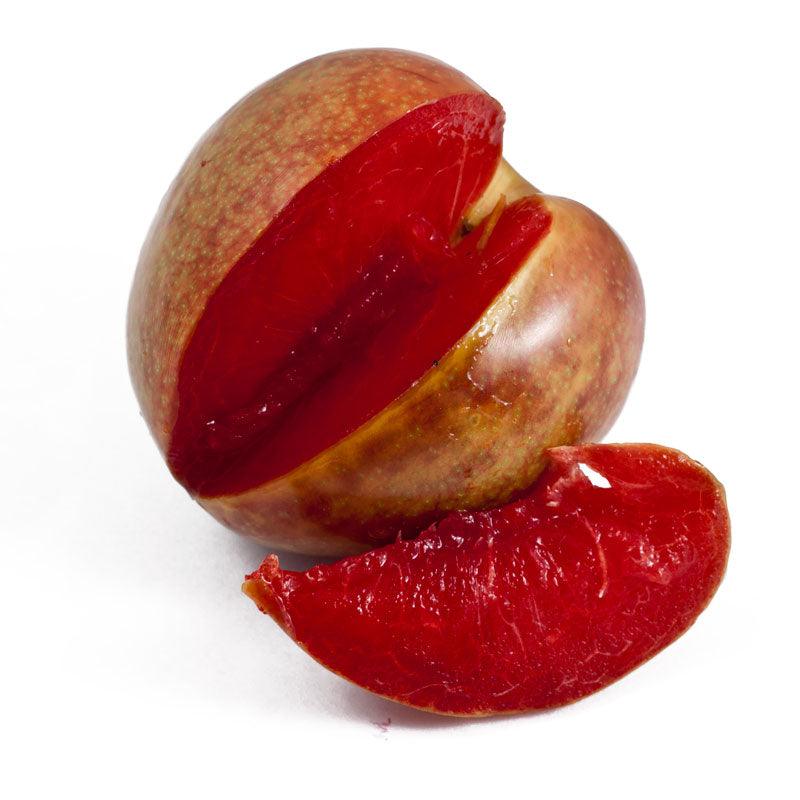 Flavor Supreme Pluot Tree Semi-Dwarf BareRoot Grow Organic