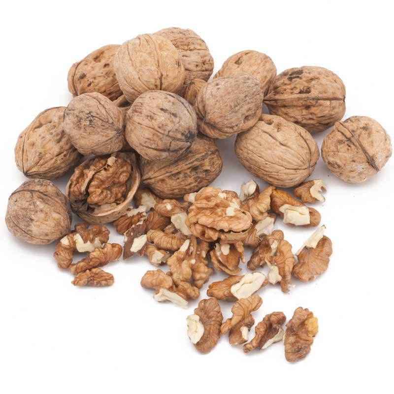 Franquette Walnut Tree Grow Organic
