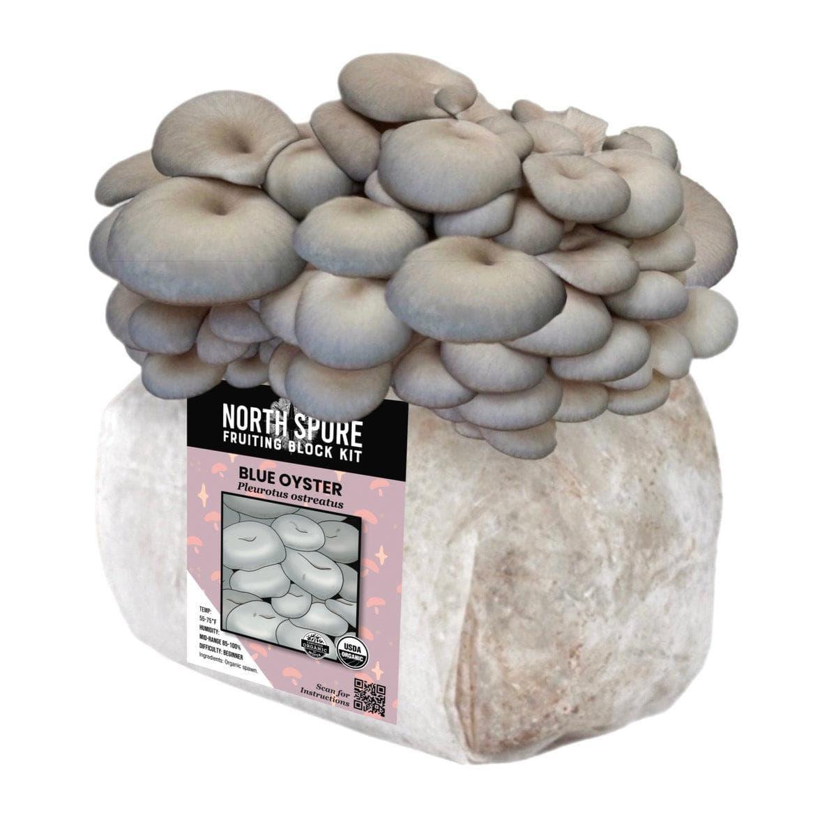 Organic Blue Oyster Mushroom Grow Kit Fruiting Block North Spore