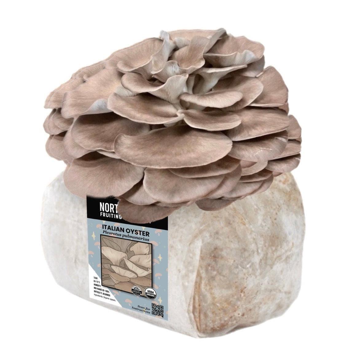 Organic Italian Oyster Mushroom Grow Kit Fruiting Block North Spore