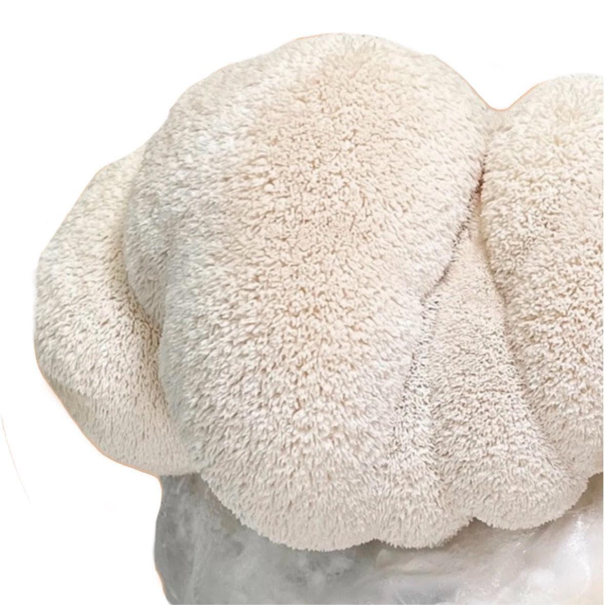 Organic Lion's Mane Mushroom Grow Kit Fruiting Block North Spore