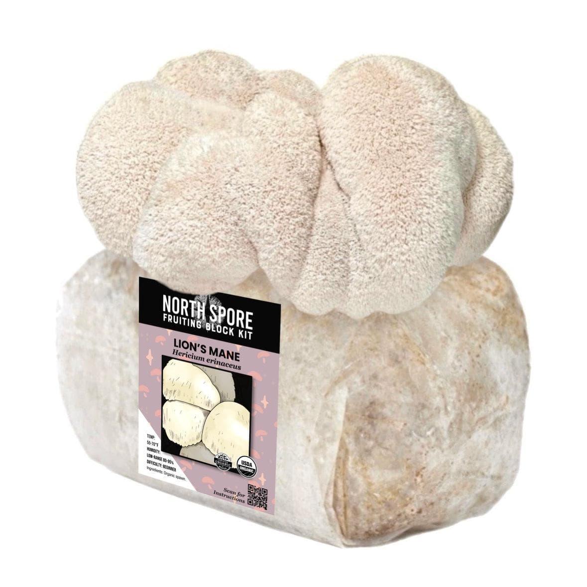 Organic Lion's Mane Mushroom Grow Kit Fruiting Block North Spore