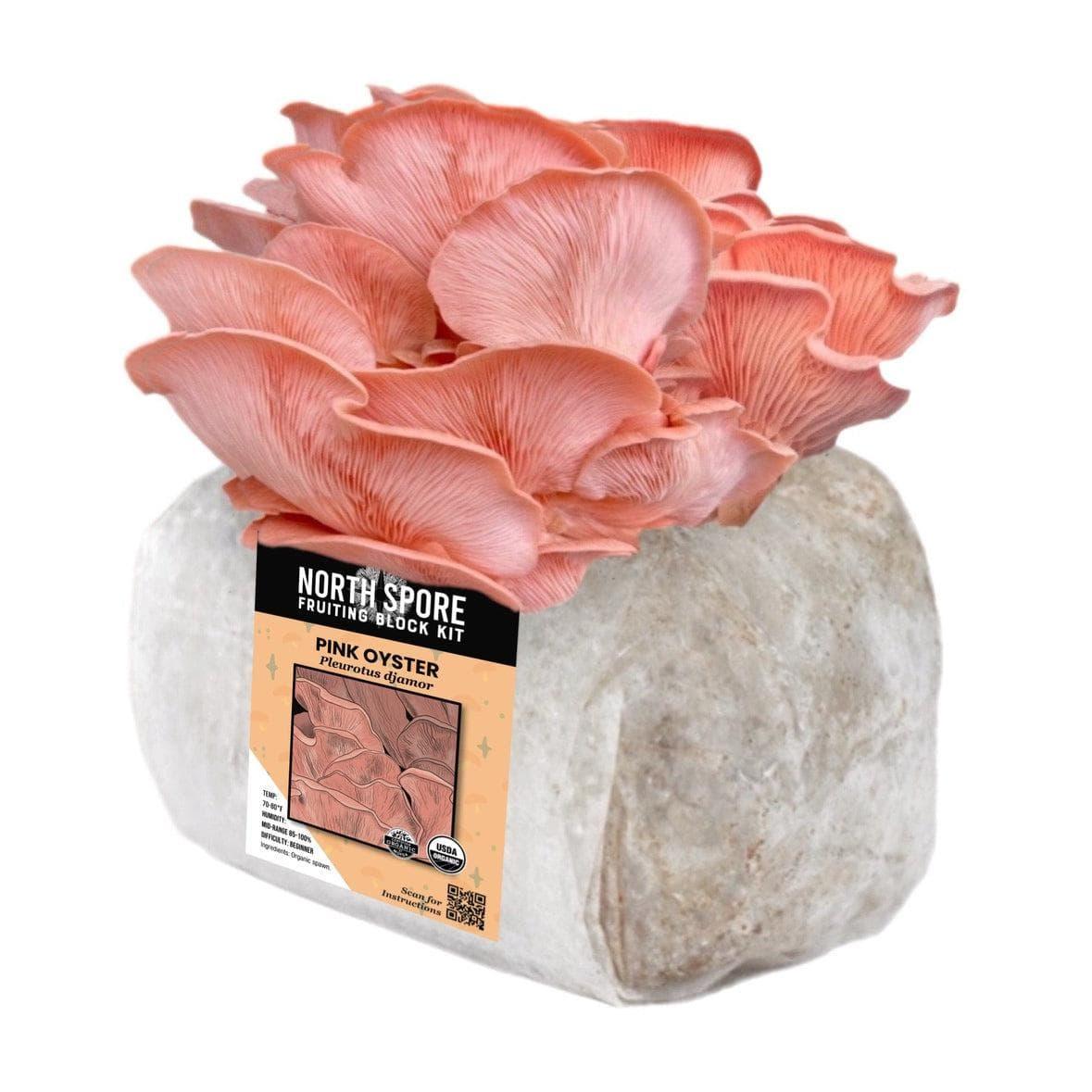 Organic Pink Oyster Mushroom Grow Kit Fruiting Block North Spore