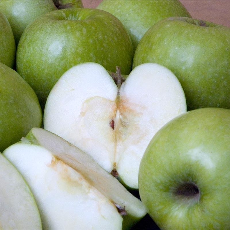 Granny Smith Apple – Trees of Antiquity