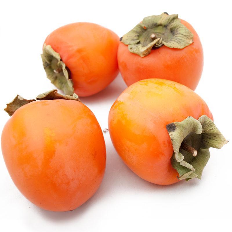 Hachiya Persimmon Tree Grow Organic