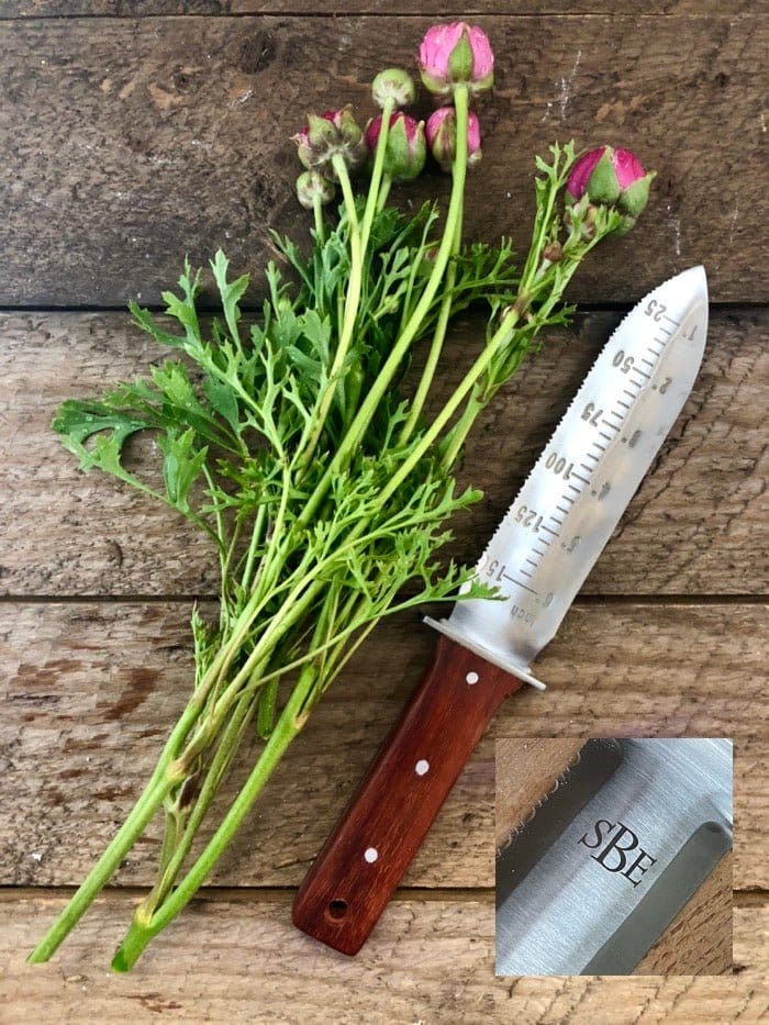 Gardening Gift Box - Complete Classic Tool Kit The Celtic Farm