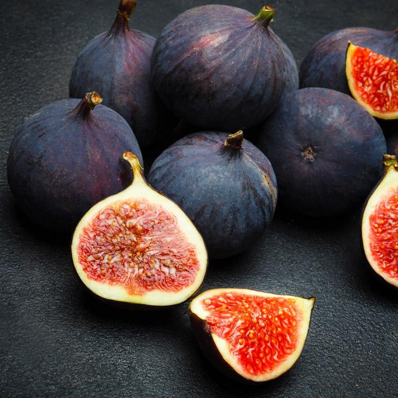 Improved Brown Turkey Fig Tree Grow Organic