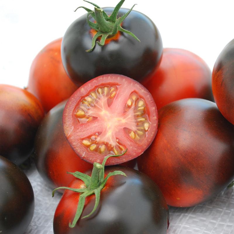 Indigo Apple Tomato Seeds (Organic) Peaceful Valley