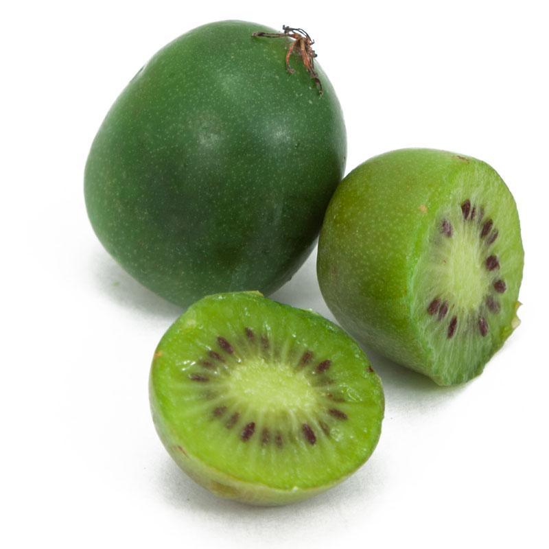 Issai Hardy Kiwi, Male/Female Grow Organic
