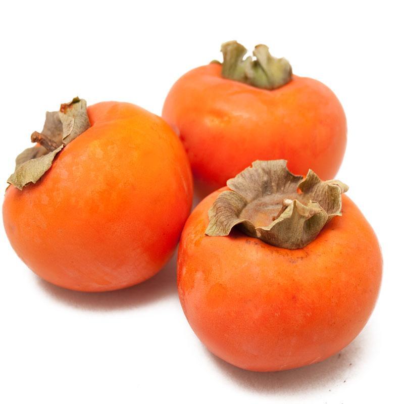 Jiro', Fuyu Persimmon, Tree Grow Organic