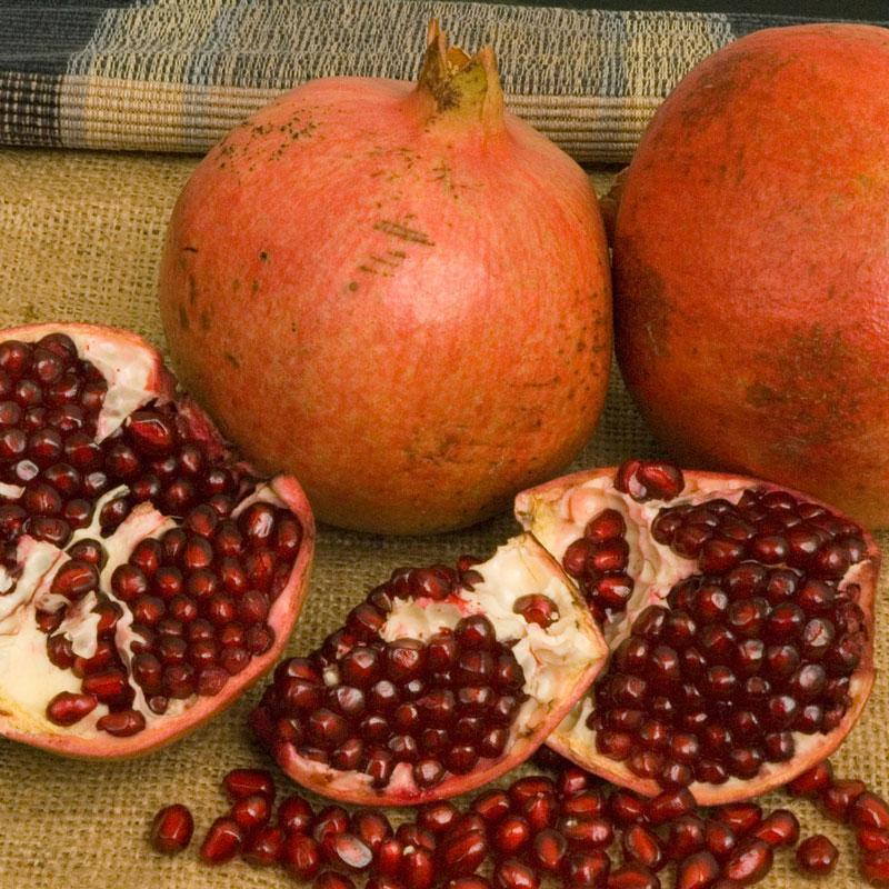 Kashmir Pomegranate Tree Grow Organic
