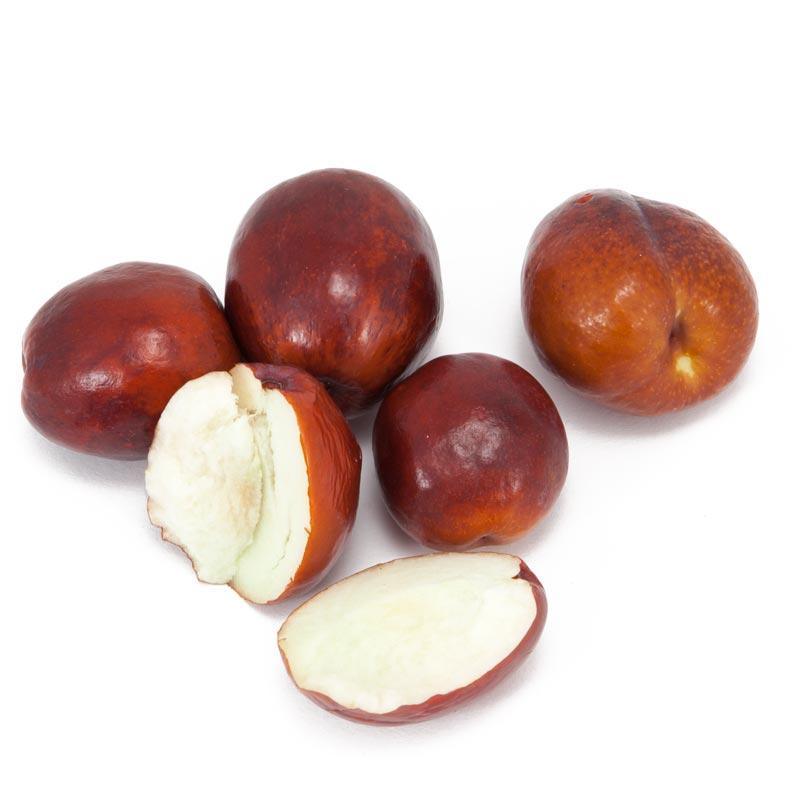 Li Jujube Tree Grow Organic