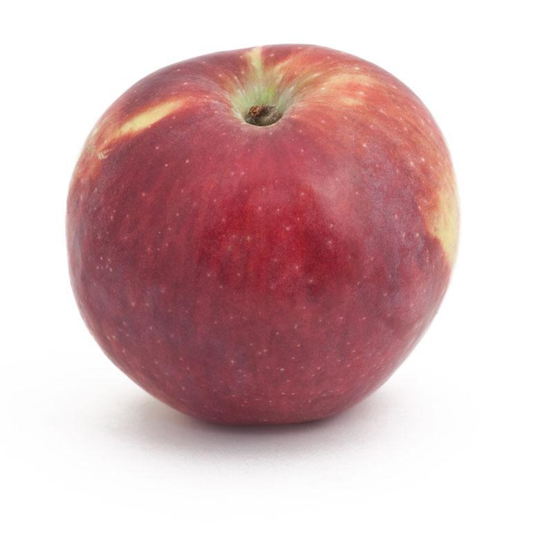 Liberty Apple Tree Grow Organic