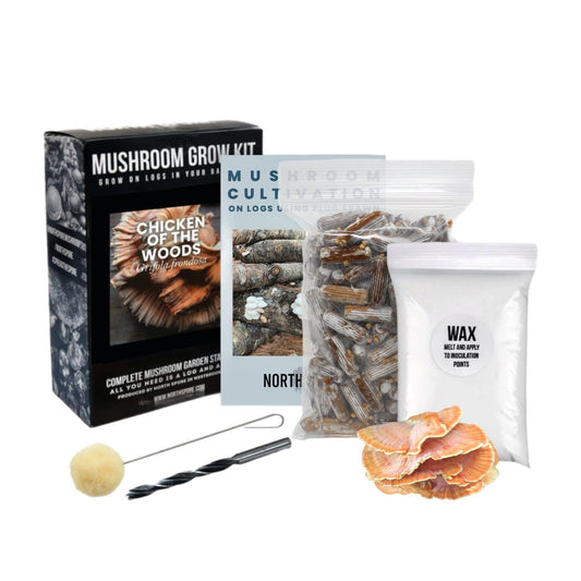 Organic Chicken of the Woods Mushroom Outdoor Log Kit With Spawn North Spore