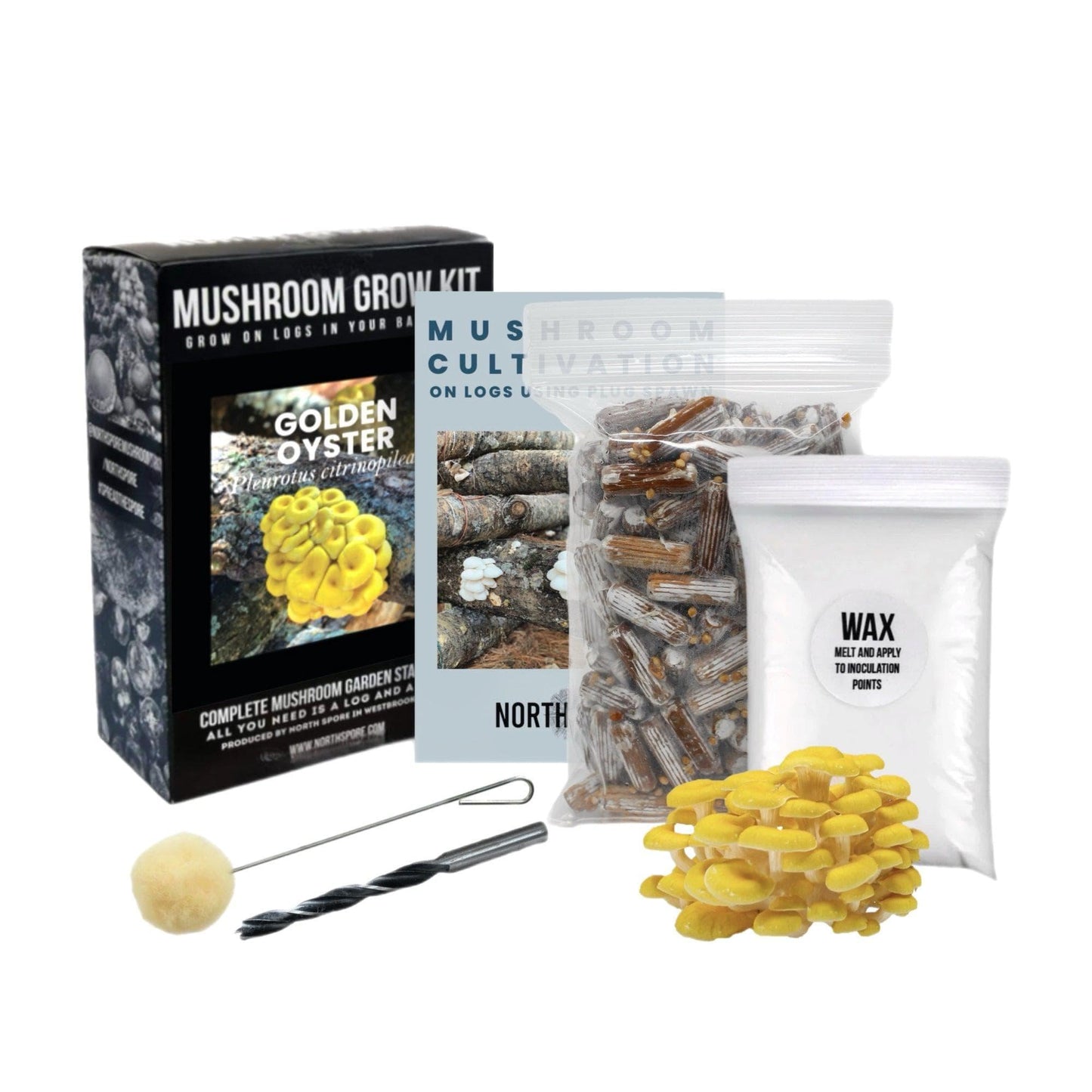 Organic Golden Oyster Mushroom Outdoor Log Growing Kit With Spawn North Spore
