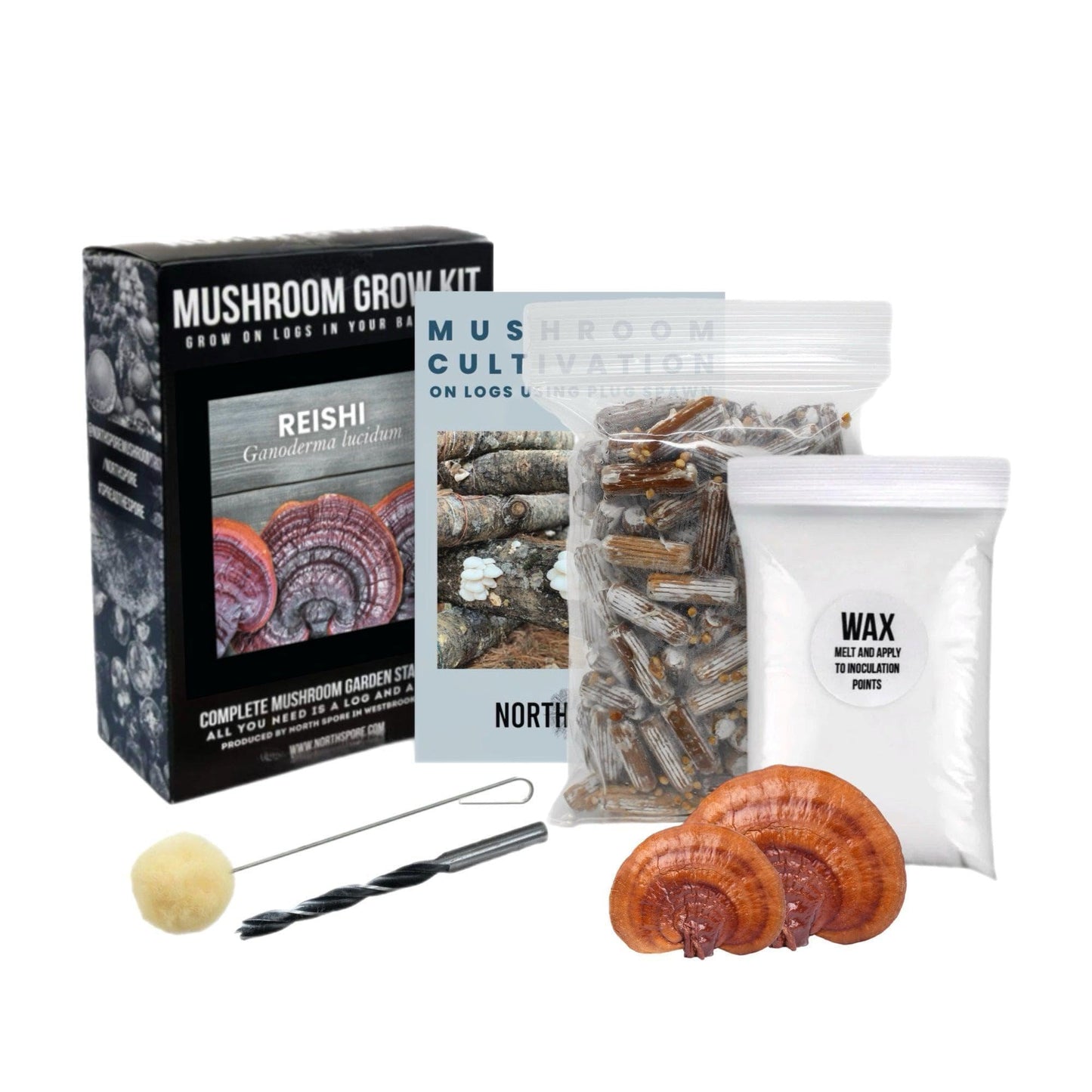 Organic Red Reishi Mushroom Outdoor Log Growing Kit With Spawn North Spore