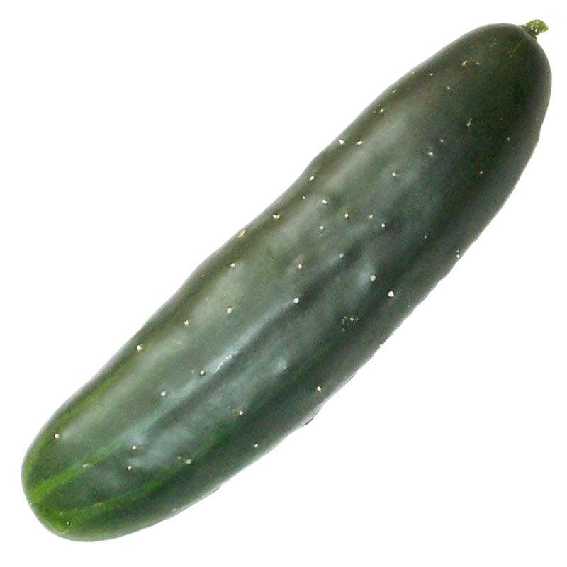 Marketmore 76 Cucumber Seeds (Organic) Peaceful Valley
