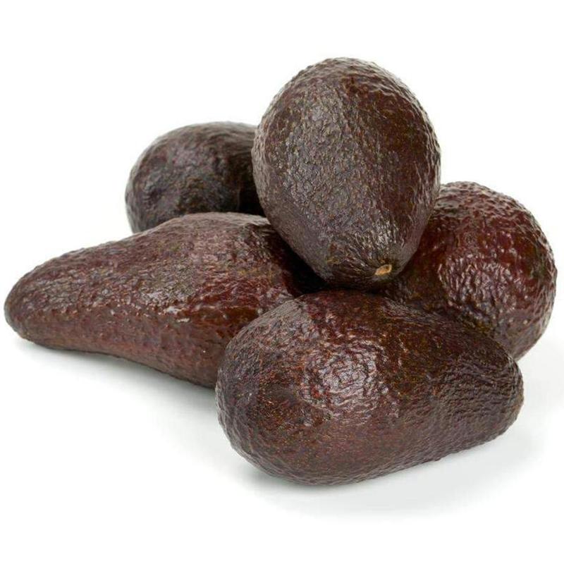 Mexicola Avocado Tree (Potted)