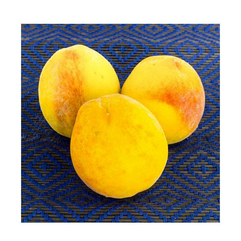 Muir Peach Tree Grow Organic