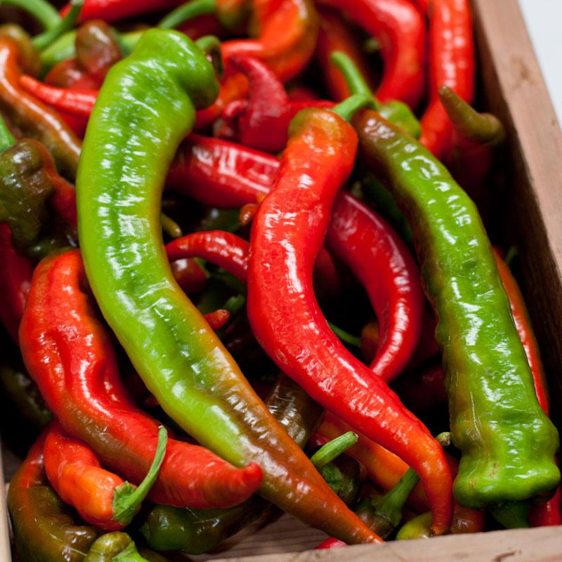 Nardello Sweet Pepper Seeds (Organic) Peaceful Valley