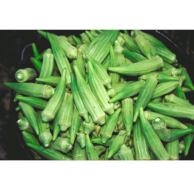 Clemson Spineless 80 Okra Seeds (Organic) Peaceful Valley