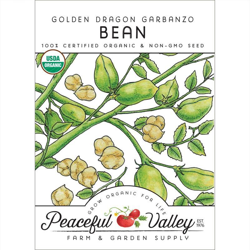 Garbanzo Golden Dragon Bush Bean Seeds (Organic) Peaceful Valley