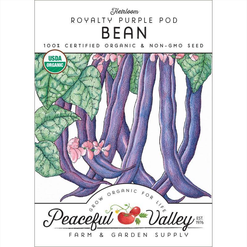 Royalty Purple Pod Bush Bean Seeds (Organic) Peaceful Valley