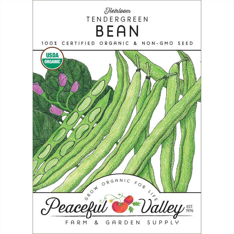 Tendergreen Bush Bean Seeds (Organic) Peaceful Valley