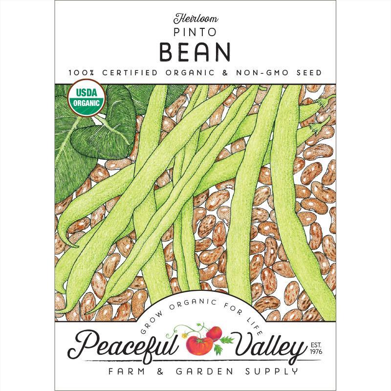 Pinto Bean Seeds (Organic) Peaceful Valley