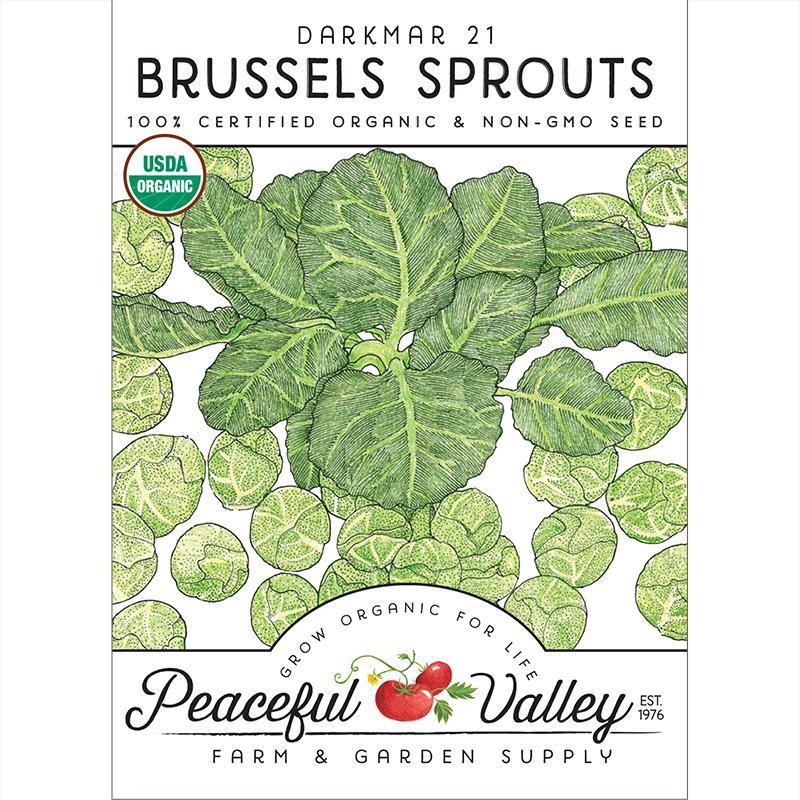 Darkmar 21 Brussels Sprouts Seeds (Organic) Peaceful Valley