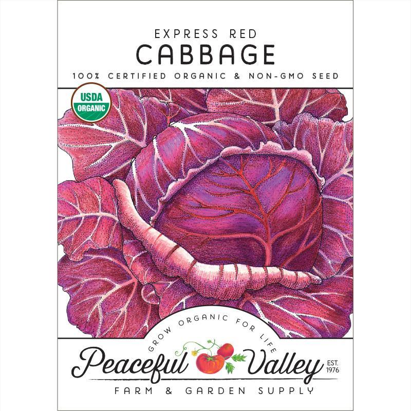 Express Red Cabbage Seeds (Organic) Peaceful Valley