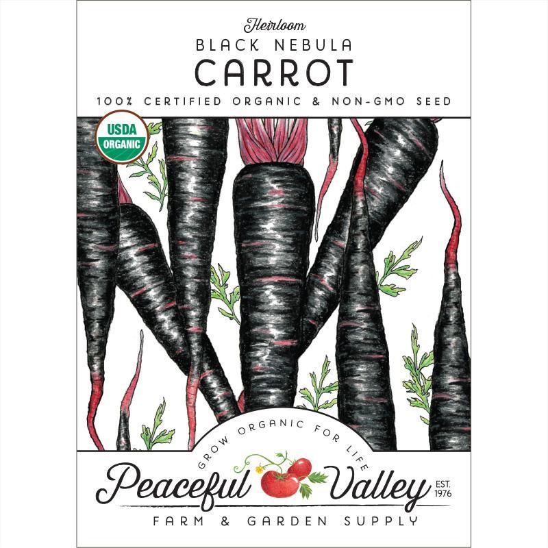 Black Nebula Carrot Seeds (Organic) Peaceful Valley
