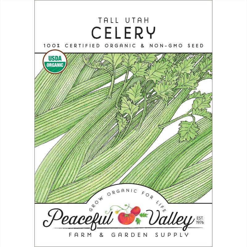 where to buy celery seeds for planting Tall Utah Celery Seeds (Organic)
