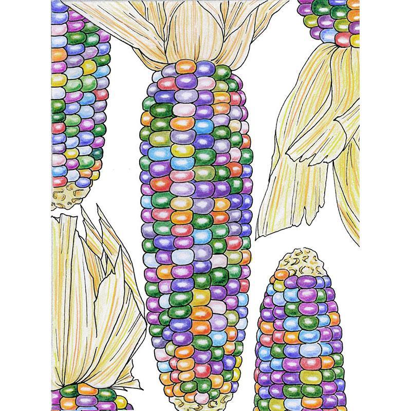 Glass Gem Corn Seeds (Organic) Peaceful Valley