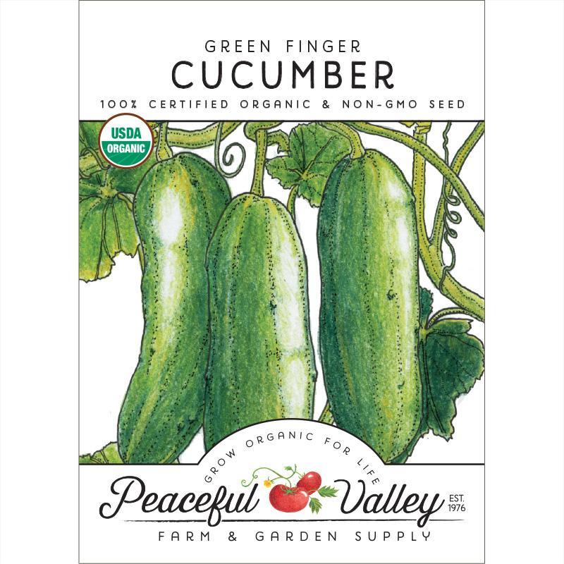 cucumber seeds for planting Green Finger Cucumber Seeds (Organic)