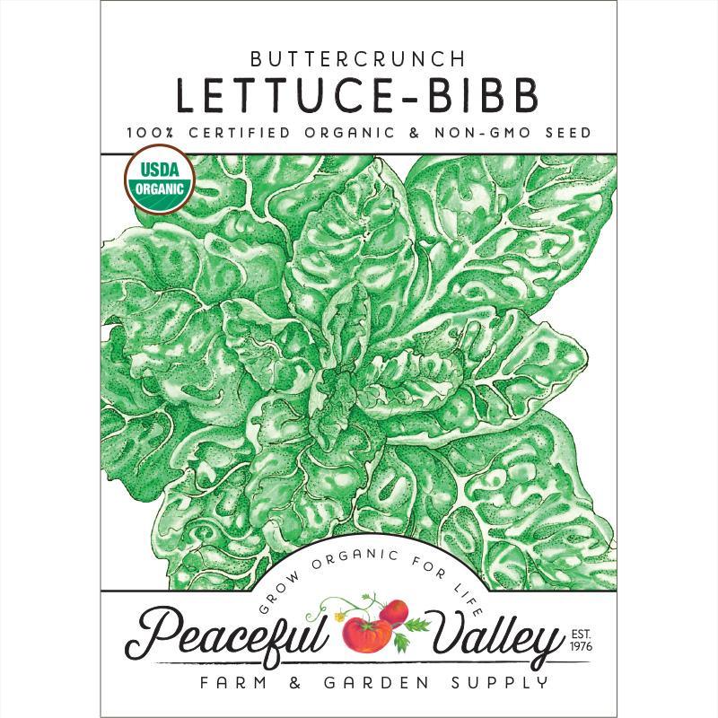 Buttercrunch Lettuce Seeds (Organic) Peaceful Valley