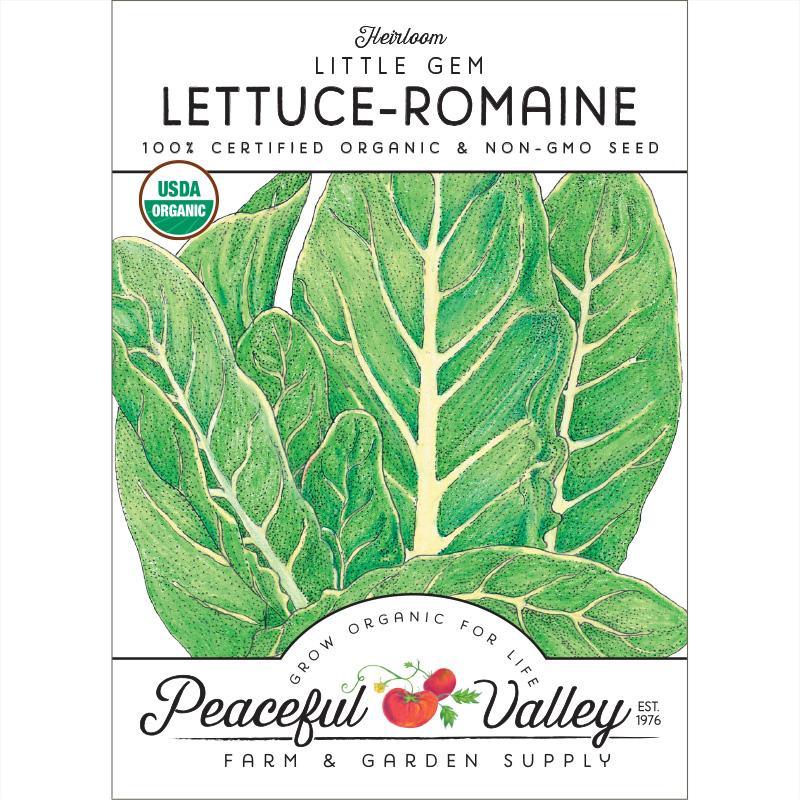 Little Gem Lettuce Seeds (Organic) Peaceful Valley