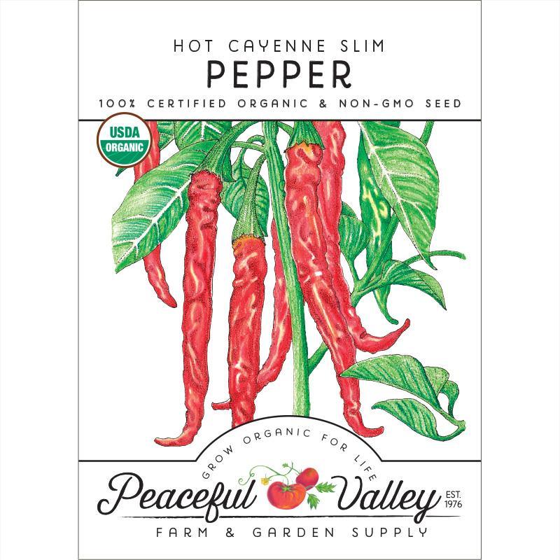 Hot Cayenne Slim Pepper Seeds (Organic) Peaceful Valley