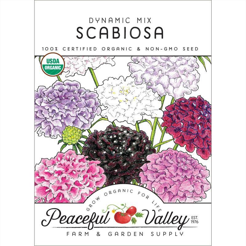 Dynamic Scabiosa Mix (Organic) Peaceful Valley