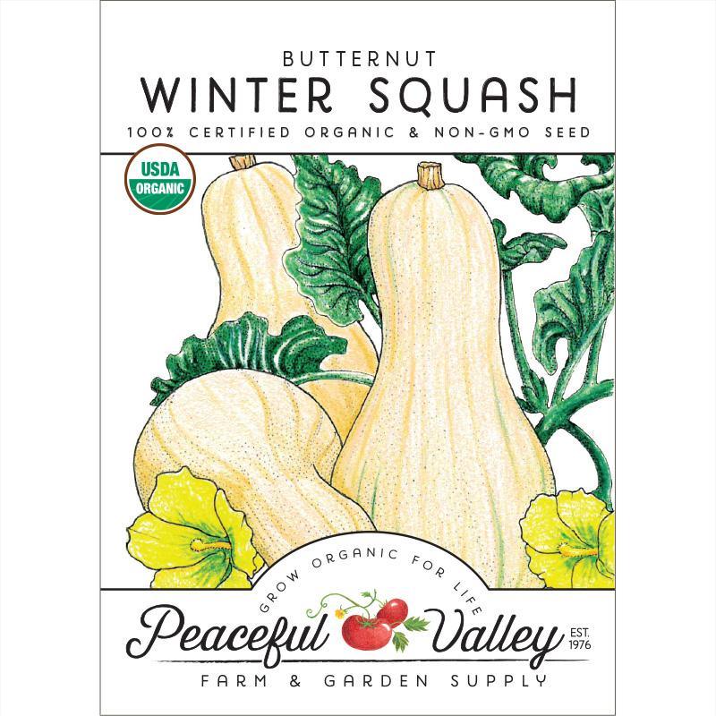 Butternut Winter Squash Seeds (Organic) Peaceful Valley