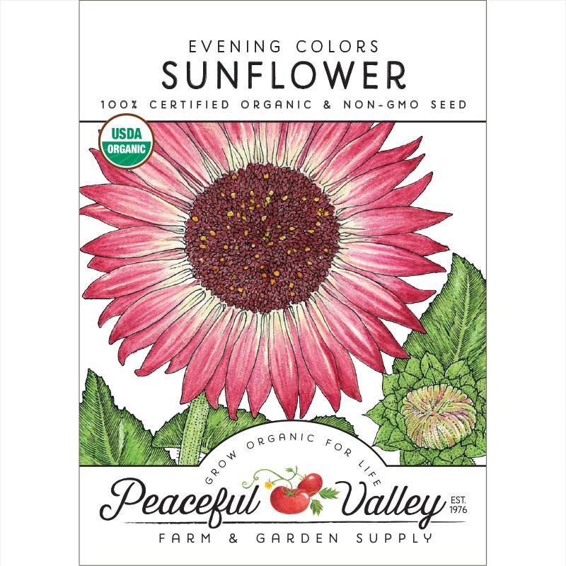 Evening Colors Sunflower Seeds (Organic) Peaceful Valley