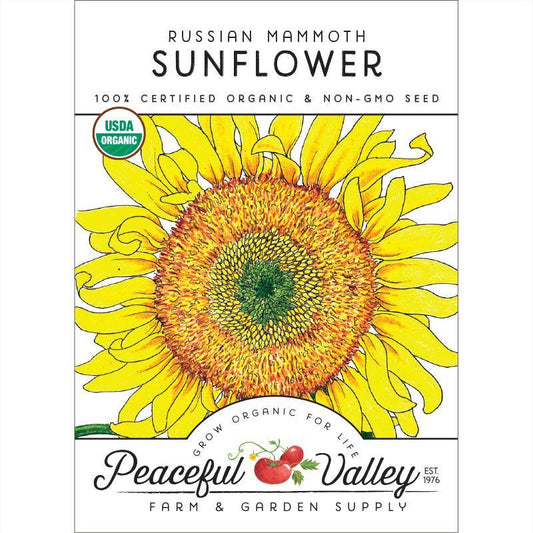 Russian Mammoth Sunflower Seeds (Organic) Peaceful Valley