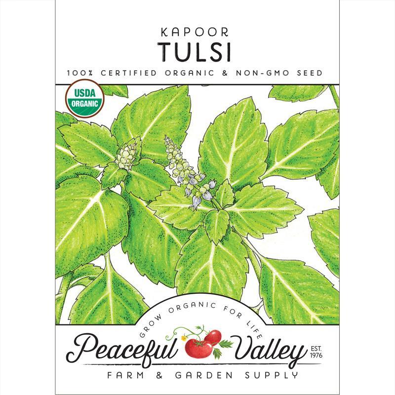 Kapoor Tulsi Seeds (Organic) Peaceful Valley