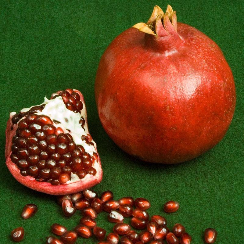 Parfianka Pomegranate Tree Grow Organic