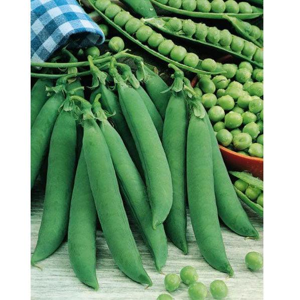 Progress #9 Pea Seeds (Organic) Peaceful Valley