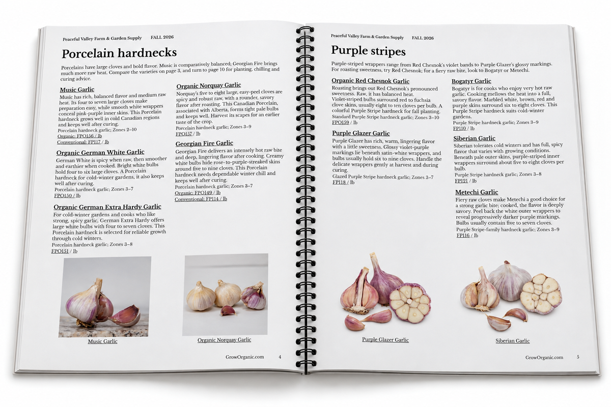 Illustrative open-book view of the coil-bound Fall 2026 catalog showing two facing garlic variety pages