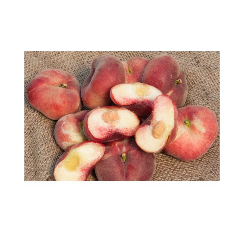 Peach Sauzee Swirl Grow Organic