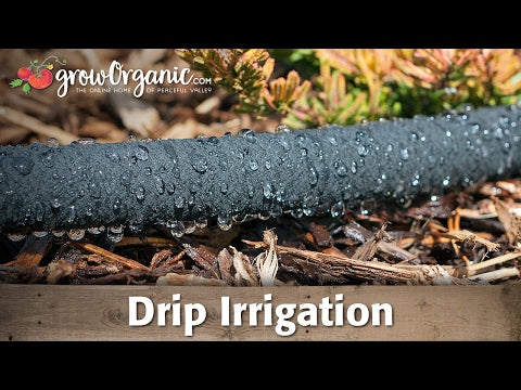 Using Drip Irrigation to Save Water in Your Garden