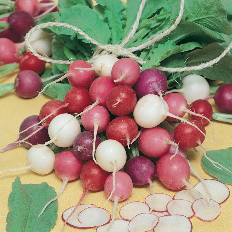 Easter Egg Mix Radish Seeds (Organic) Peaceful Valley