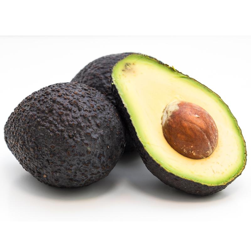 Sir Prize Avocado Tree (Potted)